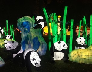 festival des lanternes Gaillac 2019