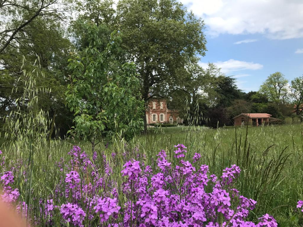 fleurs des champs chambres d hotes albi
